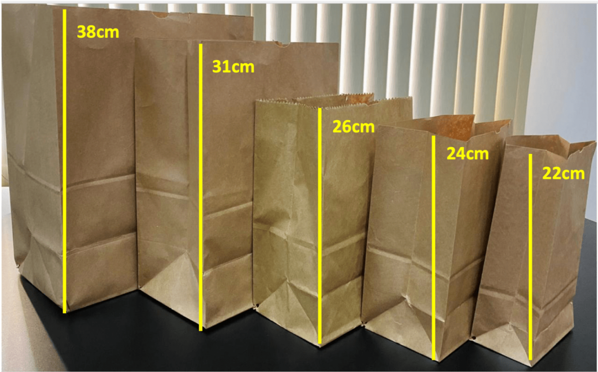 MULTIPEL Saco de Papel Kraft Liso Fundo SOS PP (12x22x6,5) Pacote 50 un.